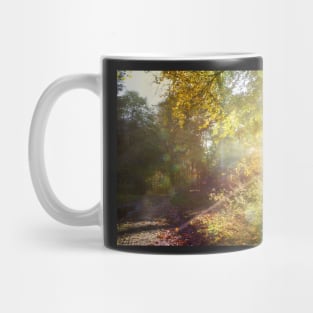 Light the way home Mug